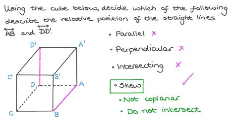 Question Video: Relation between Straight Lines | Nagwa