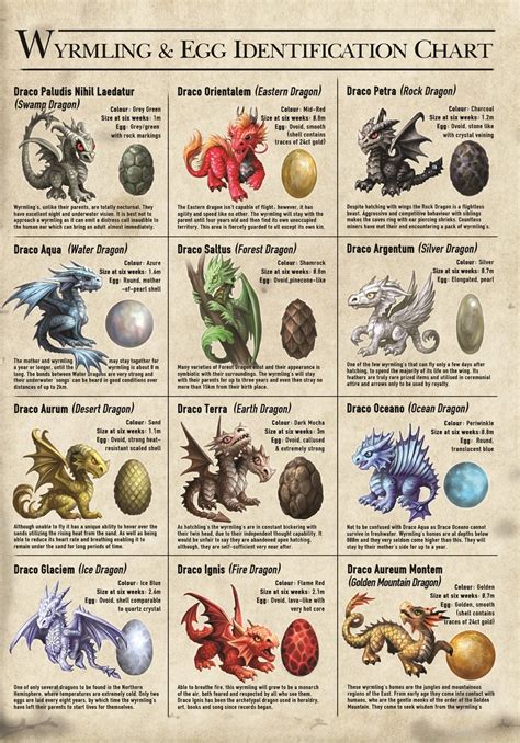 “Wyrmling & Egg Identification Chart” Blank Card by Anne Stokes ...