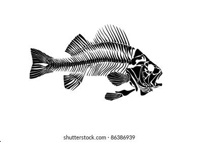 Bass Fish Skeleton Monochrome Concept Vintage Stock Vector (Royalty ...