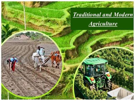 Traditional and Modern Agriculture