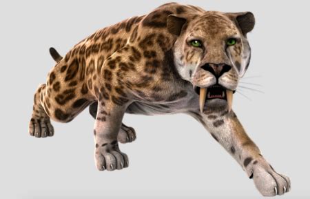 Why did the sabre-toothed cats go extinct? – How It Works