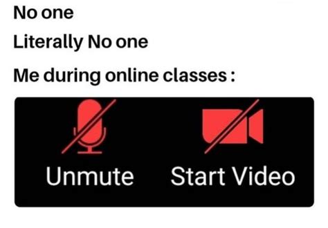 50+ Funny Online School Memes That Every Student Can Relate To