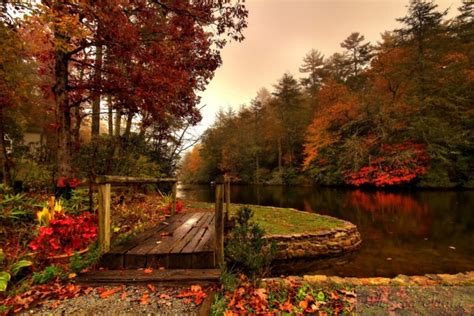 forest, River, Autumn, Bridge Wallpapers HD / Desktop and Mobile Backgrounds