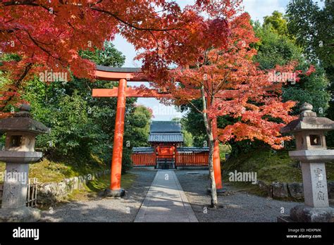 Autumn leaves at Tenryu-ji Temple, Kyoto, Japan Stock Photo - Alamy