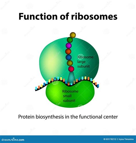 Trna Cartoons, Illustrations & Vector Stock Images - 18 Pictures to download from ...