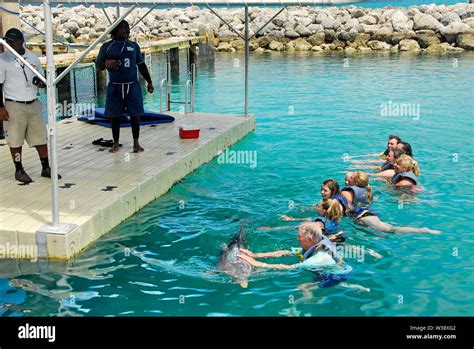 Swimming with the dolphins at Blue Lagoon Island near Nassau, Bahamas ...