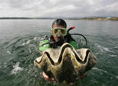 S.Korea Actress Charged in Thailand for Catching Giant Clams