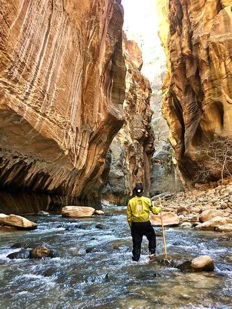 9 Things to Know for the Zion Narrows Hike - Travel Guide for Zion National Park | Around The ...