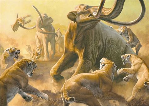 Colombian Mammoths battling a pride of Smilodon—sabertooth cats. The ...