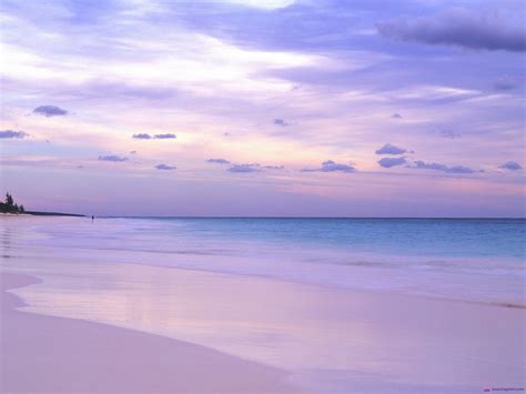 Pink beach in the Bahamas wallpapers and images - wallpapers, pictures ...