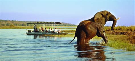 Chobe Safari Lodge, Kasane, Botswana | Discover Africa Safaris