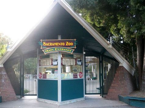 Sacramento Zoo | Sacramento zoo, Sacramento california, Sacramento