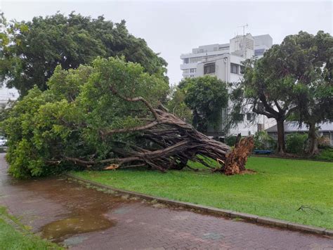 Typhoon Khanun paralyzes air traffic, causes massive outage in southern Japan - EFE Noticias