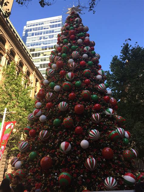 Martin Place Christmas Tree in Sydney | Simon_sees | Flickr