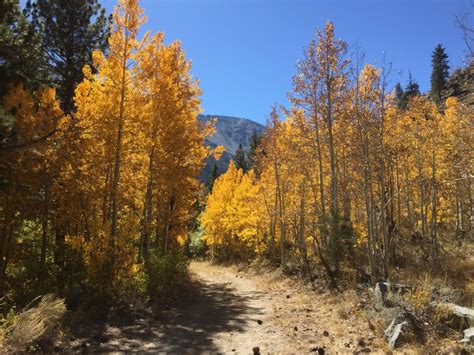 25 Things to Do in Mammoth Lakes This Fall – MEG HIKES