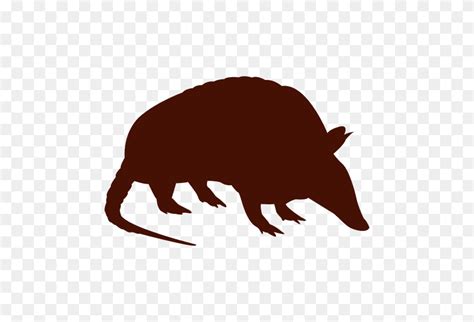 Armadillo Silhouette Silhouette Of Armadillo - Armadillo PNG - FlyClipart