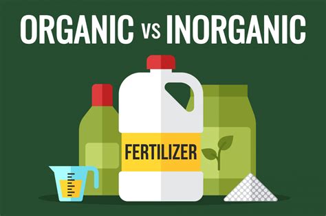 Organic vs Inorganic Fertilizer