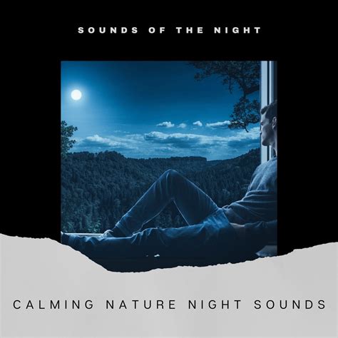 ‎Calming Nature Night Sounds by Cricket Sounds, Sounds Of The Night & Sleep Crickets on Apple Music