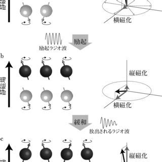 Principle of nuclear magnetic resonance. | Download Scientific Diagram