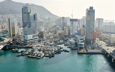 Busan · South Korea · Port Schedule | CruiseDig