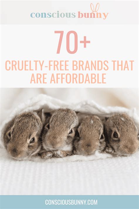 70+ Cruelty-Free Brands That Are Affordable: Save Some Money