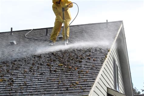 3 Reasons to Hire a Professional Pressure Washer to Clean Your Roof | Scrubby Corp