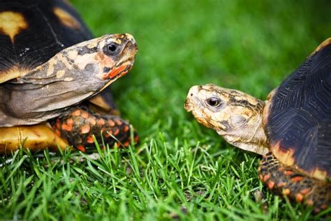 Hogle Zoo Offers Classes for Special Needs Students - Utah Family Magazine