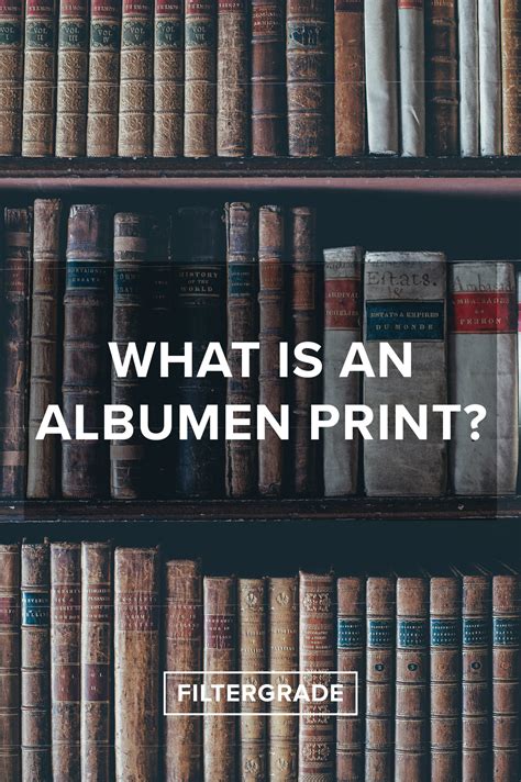 What is an Albumen Print? - FilterGrade