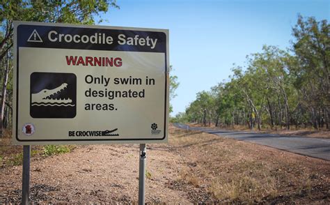 A man in Australia shooed away a crocodile to fish. Then 2 of them ate him | South China Morning ...