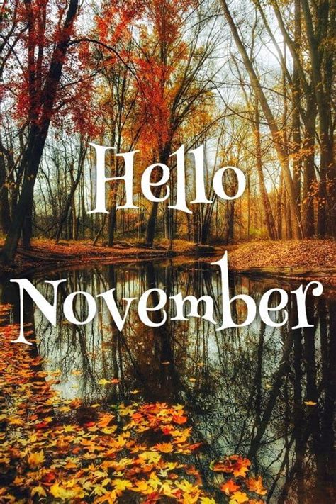 Hello November Funny November Quotes - ShortQuotes.cc