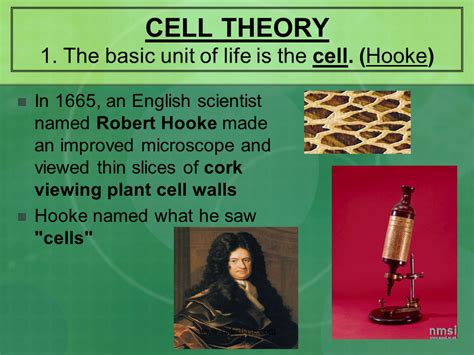 Cell Theory