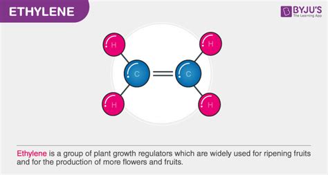 Ethylene -Structure, Formula, Function, Uses