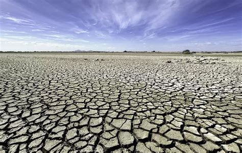 Drought relief | Your Say Armidale