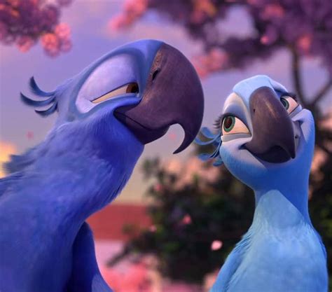 193 best Blu y Perla (Rio) images on Pinterest | Rio movie, Parrots and ...