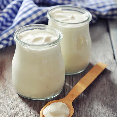 Creamy Delight: Whole Milk Yogurt Health Benefits