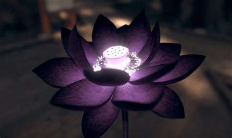 Black Lotus Wallpapers - Top Free Black Lotus Backgrounds - WallpaperAccess