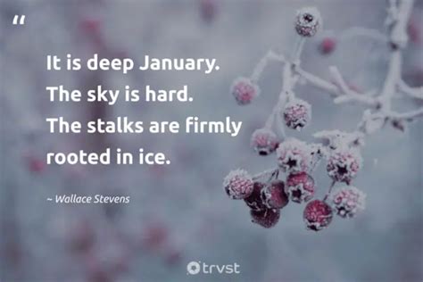 39 January Quotes and Sayings to Start the Year Right