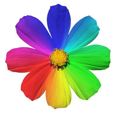 The Meaning Of Flower Colors – Learn What Flower Colors Symbolize