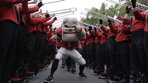 College Sports: The 12 Best Animal Mascots | BeChewy