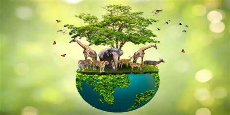 Wildlife Conservation Essay - 100, 200, 500 Words