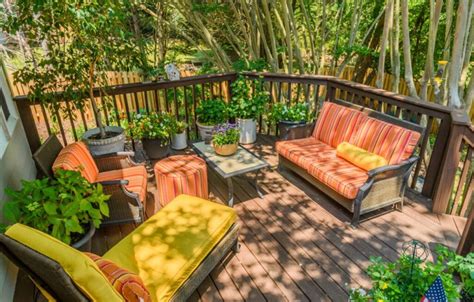 8 Deck Gardening Ideas and Tips for Beginners