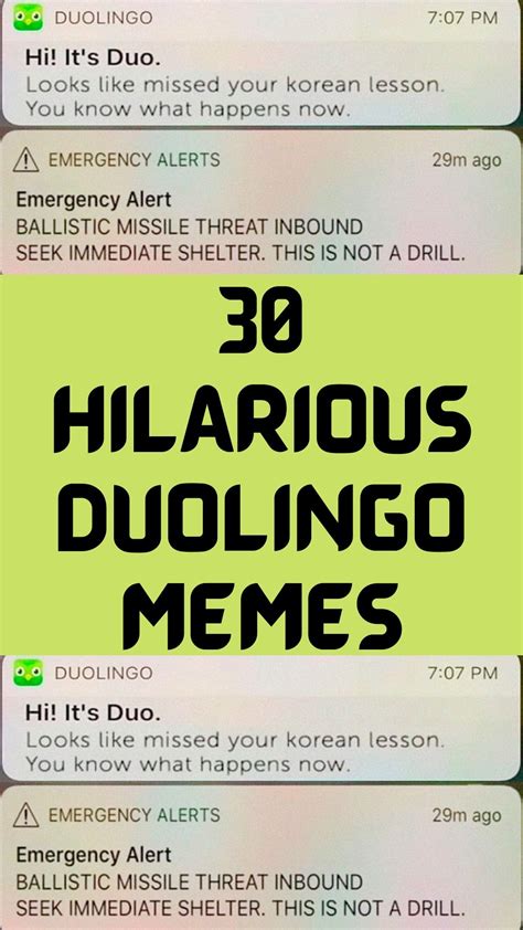 30 Hilarious Duolingo Memes