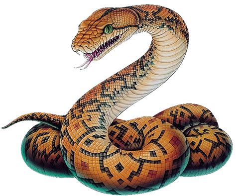 Imagen PNG de serpiente | PNG Mart