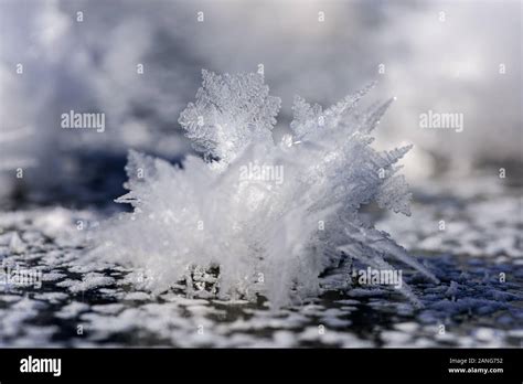 Real frozen ice crystals in blue, winter background. Closeup of ice ...