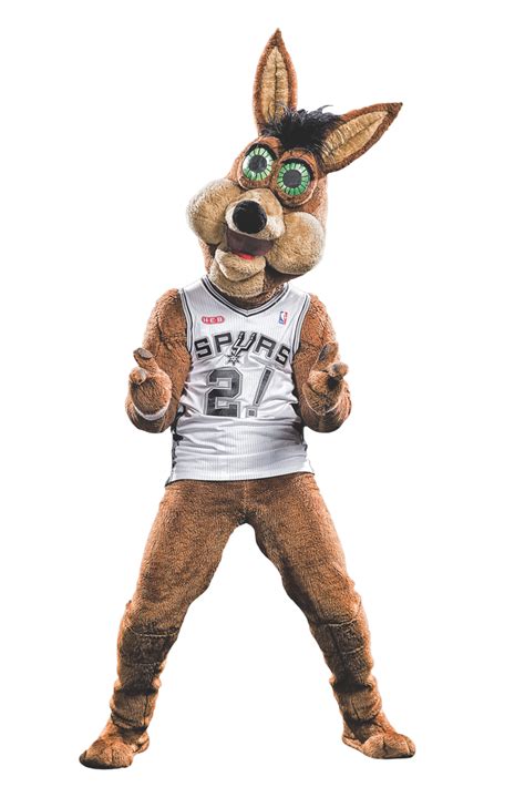 Spurs Coyote - Mascot Coyote of the San Antonio Spurs looks on against ... / Search, discover ...