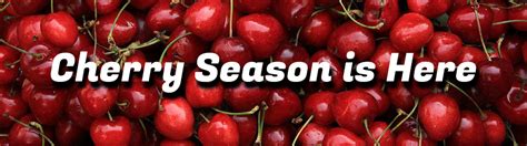 Cherry season has arrived! - Harvest Time in Brentwood