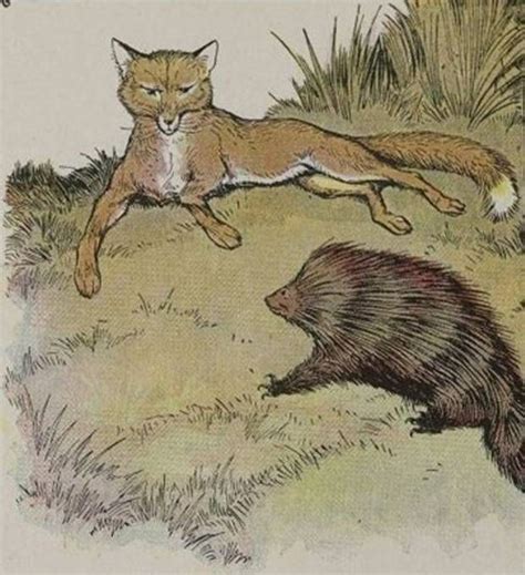 Aesop's Fables - The Fox And The Hedgehog | Aesops fables, Cunning fox ...