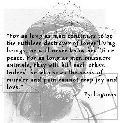 9 Pythagoras quotes ideas | pythagoras quotes, quotes, words