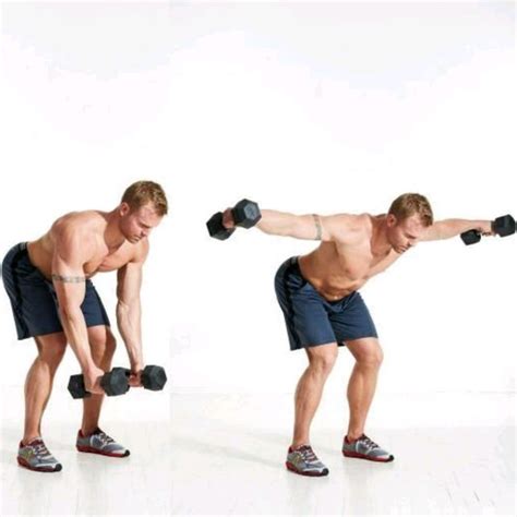 Bent Over Dumbell Reverse Fly by Christian N. - Exercise How-to - Skimble