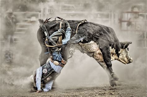 Involuntary Dismount, photo by peter j | Fotos, Estampas